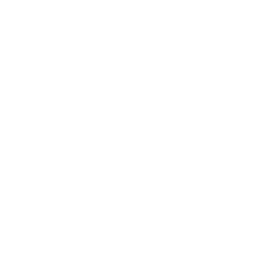 Personal Auto